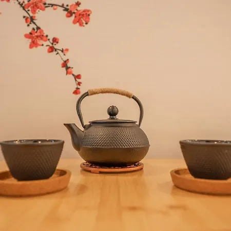 Onzen-experience Japonaise Sauna Hammam Balneo * Hettange-Grande